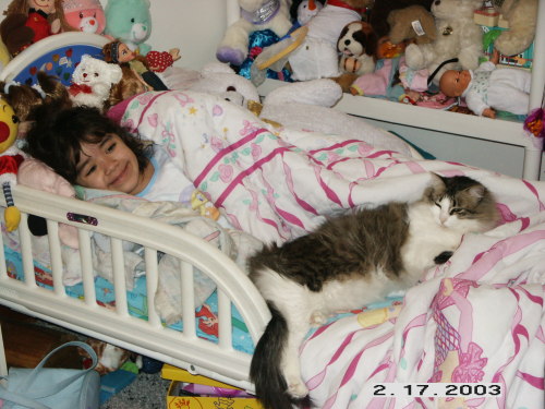 Stripy sleeping on my bed with me when I was a kid.