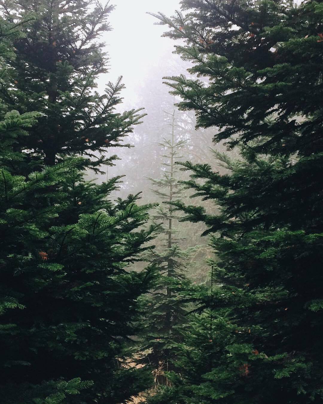 grace&ndash;upon&ndash;grace:Laura Arbo
