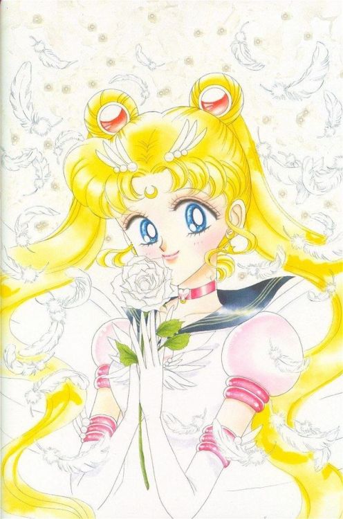 theresno-otherway:Tanjoubi omedetou! Usagi chan! 