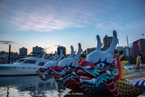 Dragon boats Portland, OR