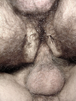 hairyblokes:  Lots of Hairy Blokes, Bears and Daddies.(submissions welcome, all only over 18 please)Follow me at Hairy Blokes. 