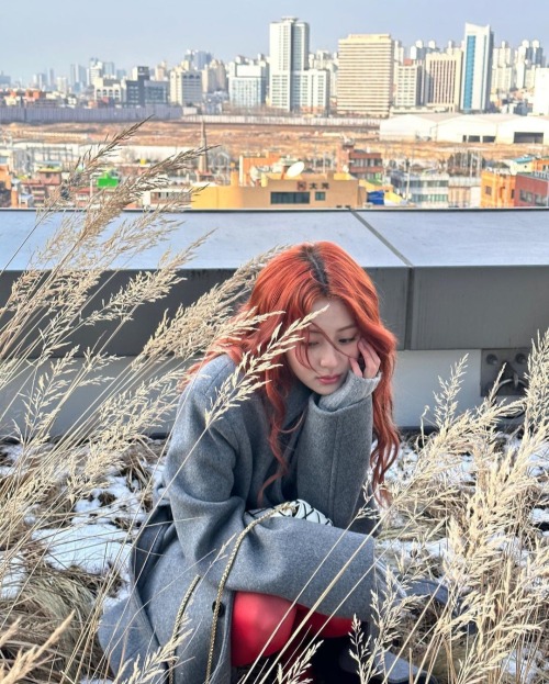 Yunjin | Ig Update