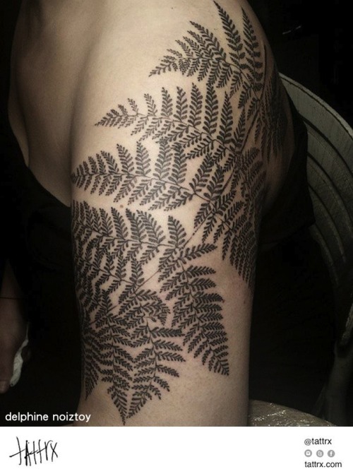 tattrx: Delphine Noiztoy Tattoo | London UK - Fern Leaves for Sebil tattrx.com/artists/delphine