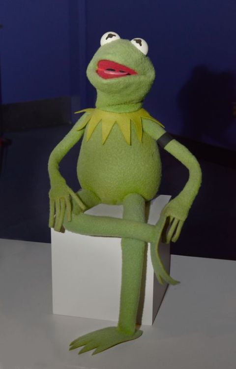 So this is the Smithsonian’s Kermit the Frog, now wearing a black armband in honor of Jane Henson.
Source: National Museum of American History Blog