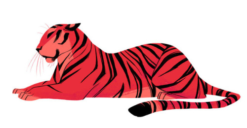 735: Tiger