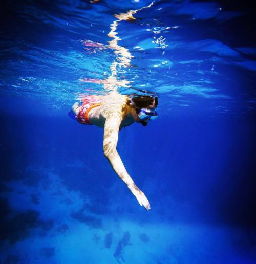 BLUE WORLD #swimming #freedom #underthesea #scuba #trainning #clear #freedive #fish #seahabitat #dee