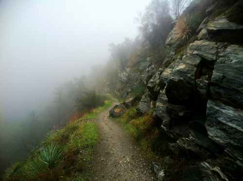 The Misty Trail by Giles_Clarke on Flickr.