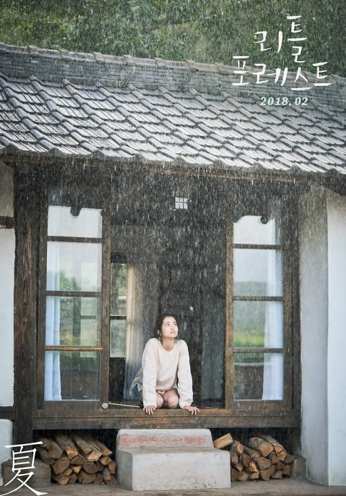 appassionataaa: ‘Little Forest’ Seasons Ver. Posters