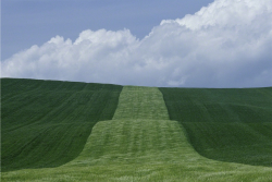 thephotoregistry:  Basilicata, 1985Franco Fontana