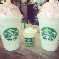 rosettaful:fleurilina:The birthday cake frappuccino is amazing omg 😍😍😍  Rosy blog ♥ Banner blog ♥ Theme blog ♥ Quality blog  