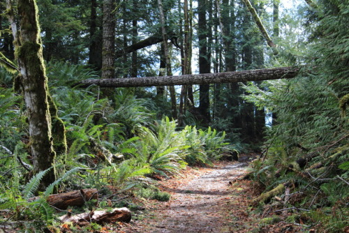 Here’s a few of the shots I took Monday while hiking for my photography class.