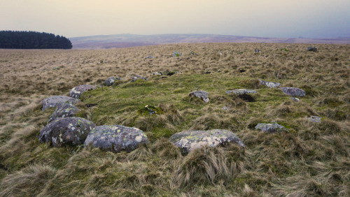 Oddendale Stone Circle, near Shap, Lake District, 14.1.17.I’ve visited this recumbent double s