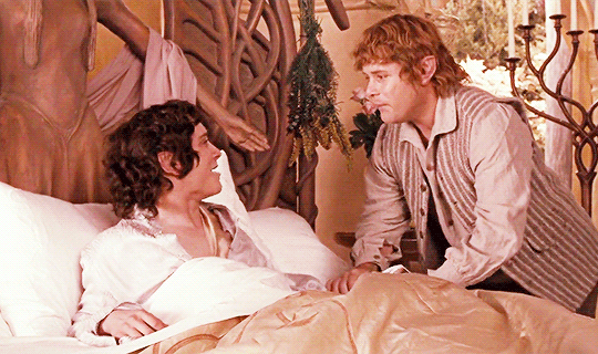 frodo-sam:  His love for Frodo rose above all other thoughts, and forgetting his