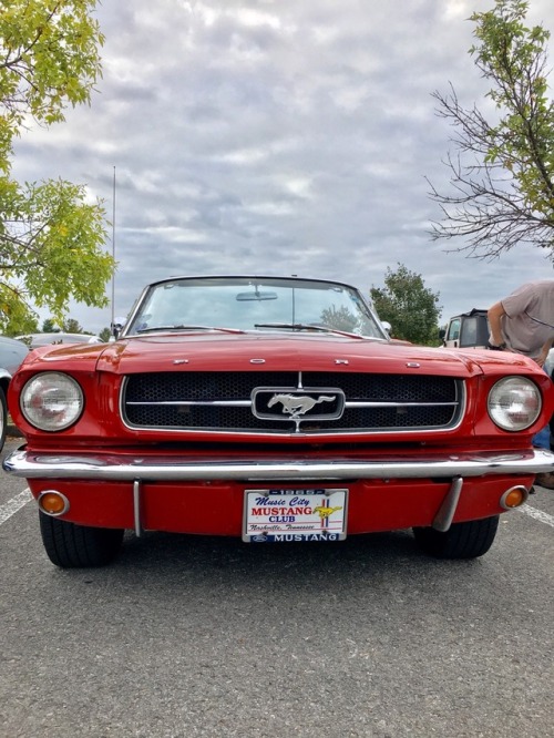 1965 ragtop Mustang with a 289 mated to a 4-speed. The factory rims and white letter tires are sharp