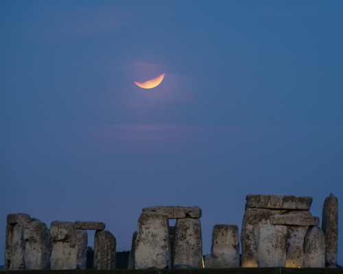 Lunar Eclipse. Credit:Paul Timlett