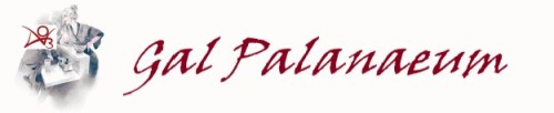 A header for the Gal Palanaeum, which reads Gal Palanaeum in a red script. The logo beside it is an illustration from Yumi and the Nightmare Painter which shows a buxom woman leaning over a counter to serve a bowl of noodles to someone, who, as we know from the story, is staring at her boobs. The person staring has the ao3 logo for a head.