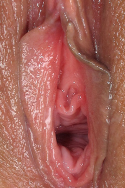 lovingbutterflylips:Pinky CloseUp