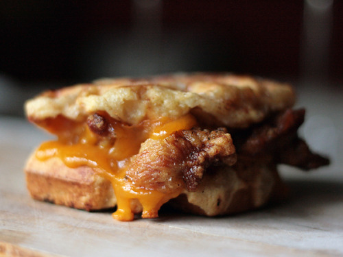 dduane: ijustwanttobeperceivedthewayiam: cheesenotes: Huffington Post Taste features 25 grilled chee