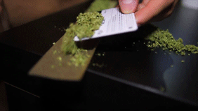 Oh Dear Mary Jane