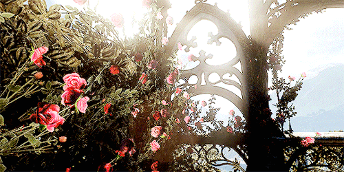 mistress-light:The witcher 3 wild hunt scenery gifs 12/∞
