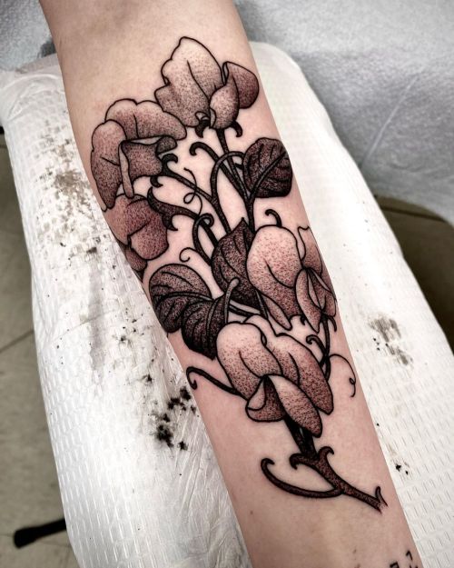 Watercolor Sweet Pea flowers done by Vic Tamian at Victory Tattoo in Little  Falls NJ  rtattoos