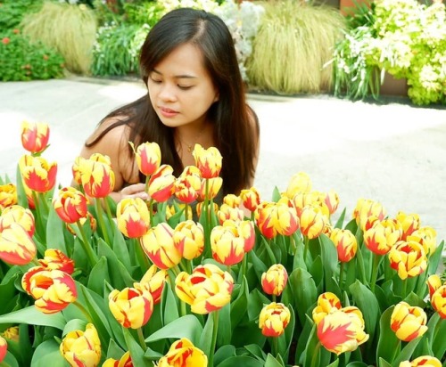 Emotera sa Flower Dome#roamingkath #flowerdome #singapore2018@mikmawshttps://www.instagram.com