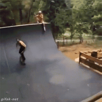 welele:  Mejor amigo del hombreNo de los skaters