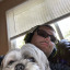 thecooperguardian1