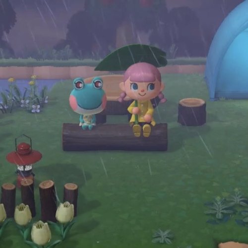 animal crossing pocket camp