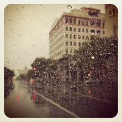 Rainy day #aprilshowers #florida #rain #thursday