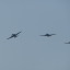 planeslanes