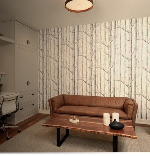 Contemporary Home Office (Grand Rapids)