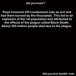 did-you-kno:  Source   Religion!