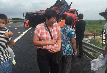 sixpenceee:A truck full of baby chicks in China overturned. The above was the result. 