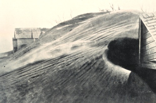 plantyhamchuk:Soil Erosion by Wind“Wind also causes much soil erosion. When the wind blows acr