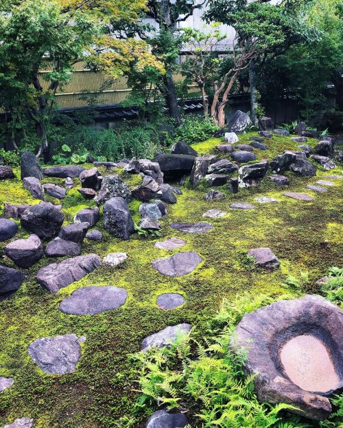 本門寺庭園 [ 奈良県大和郡山市 ] Honmonji Temple Garden, Yamatokoriyama, Nara の写真・記事を更新しました。 ーー戦国武将 #筒井順慶 の菩提寺に #小