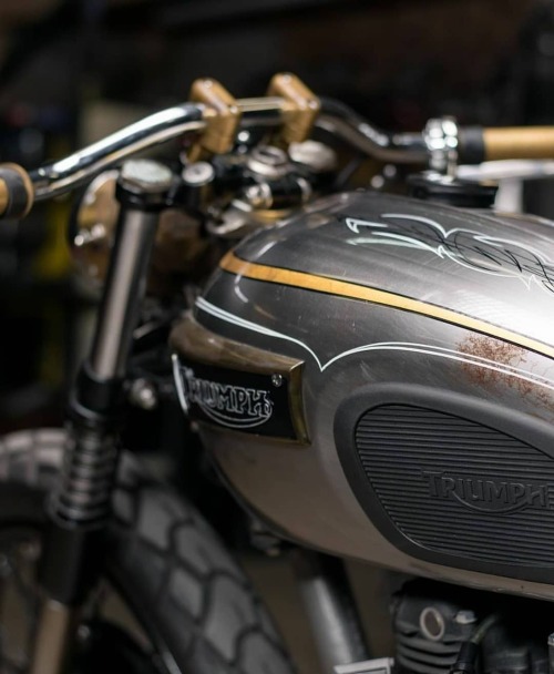 MOTORS . . Triumph Bobber &ldquo;El Matador&rdquo; @officialtriumph . . by @analogmotorcycle