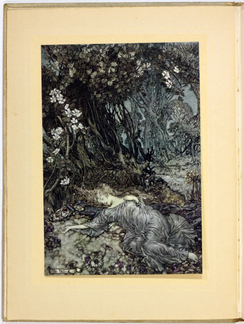 michaelmoonsbookshop: A Midsummer Night’s Dream William Shakespeare Illustration by Arthur Rac