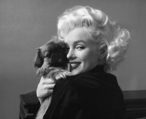 Marilyn Monroe with dog, by photor Milton H. Green.