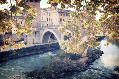 leebarguss:  Rome | Florence - Educational Trip (by Lee Barguss) 