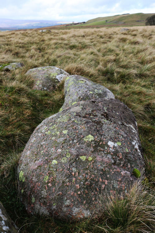 Oddendale Stone Circle, near Shap, Cumbria, Lake District, 4.11.17.This double lined stone circle si