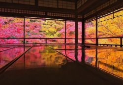 carudamon119:  RETRIP＜公式＞‏@retrip_news【明日から】2ヶ月間限定の幻の絶景。人生で一度は見たい京都「瑠璃光院」の秋の絶景とは
