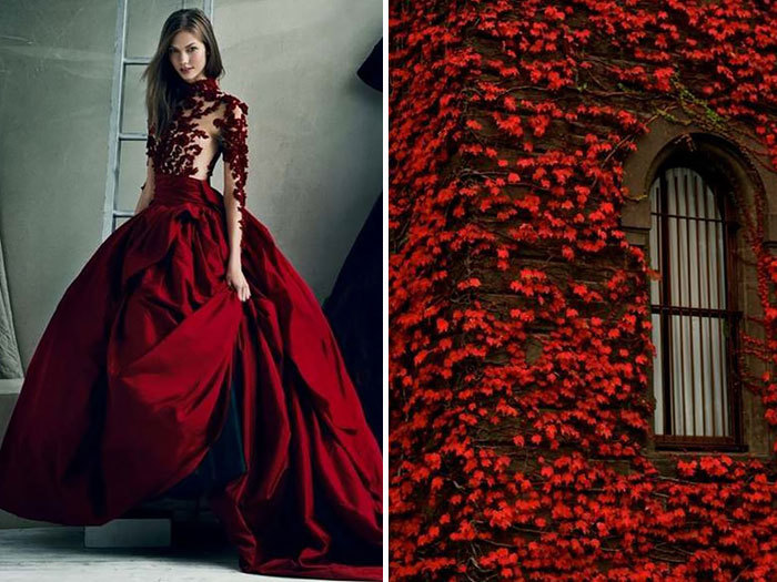 because-b:    Fashion &amp; Nature: Russian Artist Compares Famous Designers’