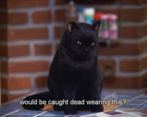 charybdis-sans-fond:salem was very trully representative of the gays. Like i watched my fair share of lgbt movie but this cat held more of my identity and culture than any gay character on tv