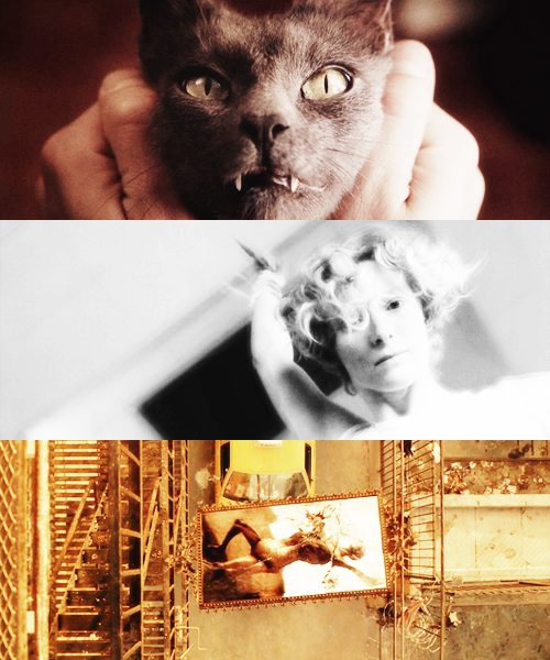 cinemagal:  Heaven and hell are right here, behind every wall, every window, the