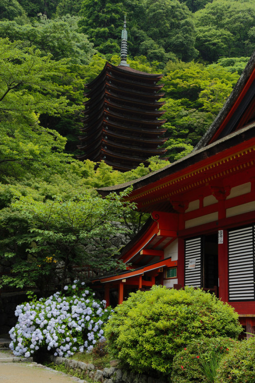 qtav:  談山神社 by JJ’s Favorite View 