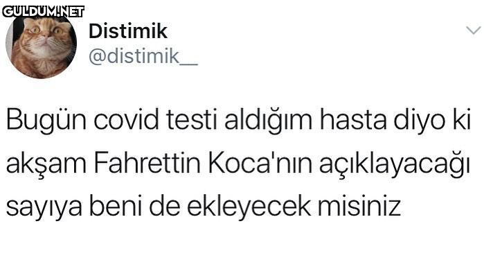 Distimik @distimik_ Bugün...