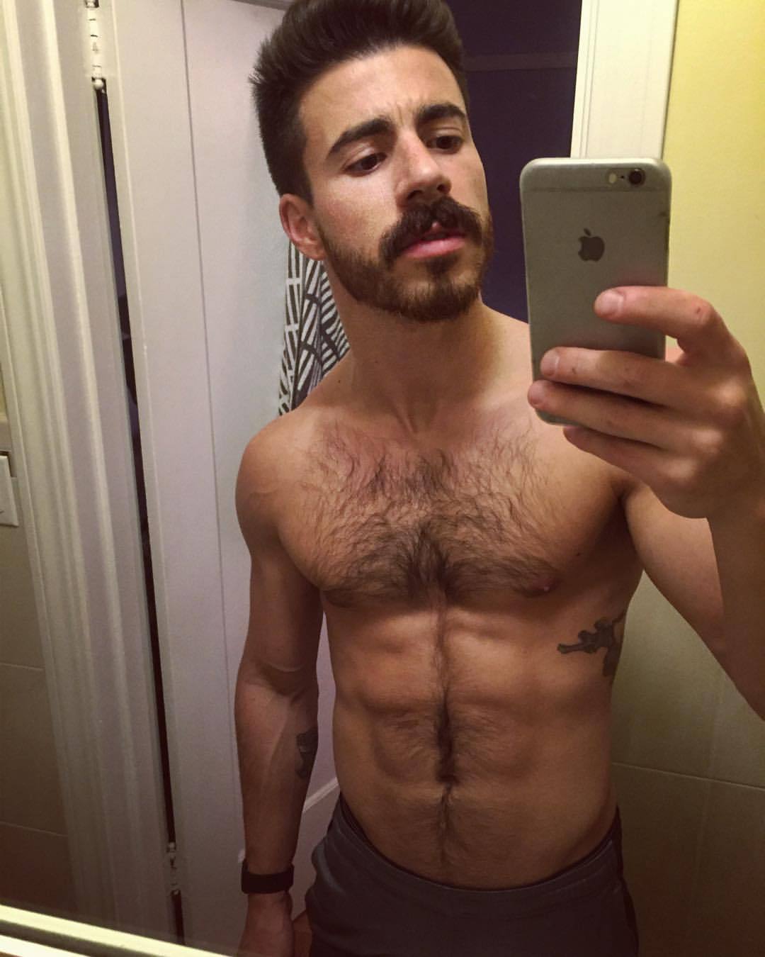 homoscedasticity:  🐶 