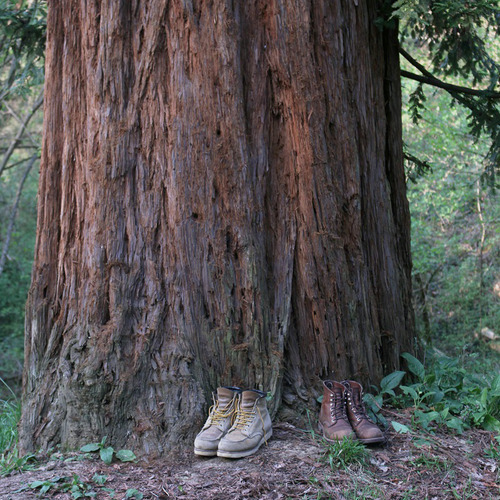 tumblr_inline_p7ixdiHDBz1rnw88c_500.jpg
