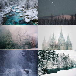 wingedwolves:  inspiration for winter 